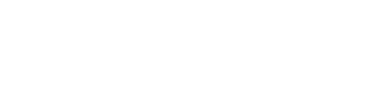 Ionova ERP